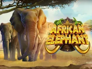 African Elephant thumbnail